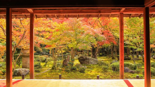 京都円光寺の紅葉