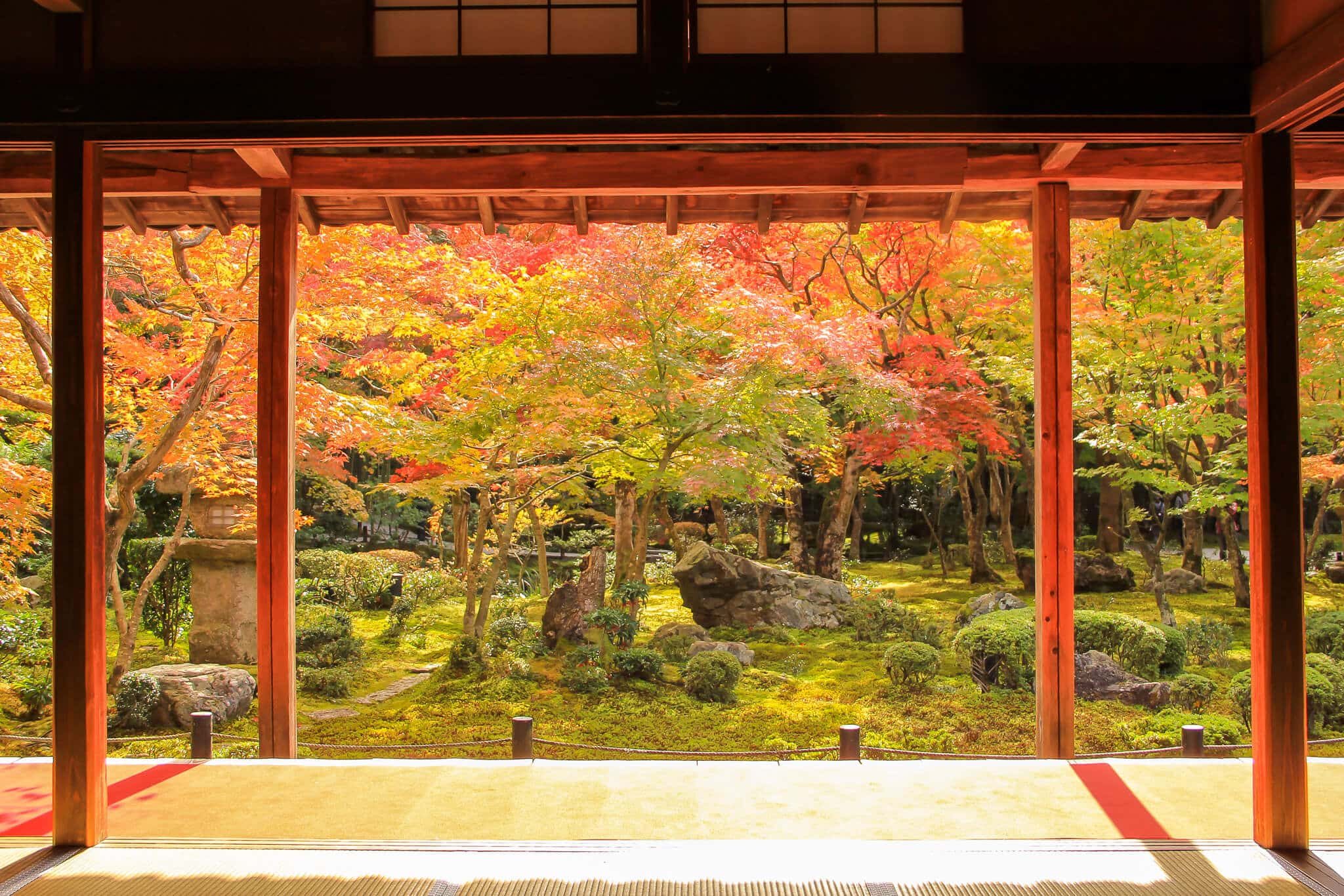 京都円光寺の紅葉