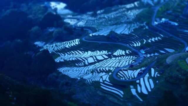 三重県の丸山千枚田