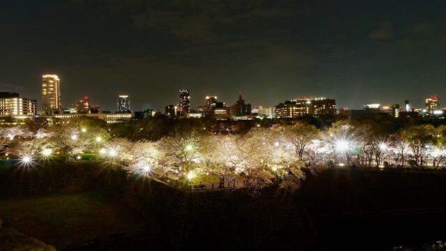 大阪城公園の桜のお花見