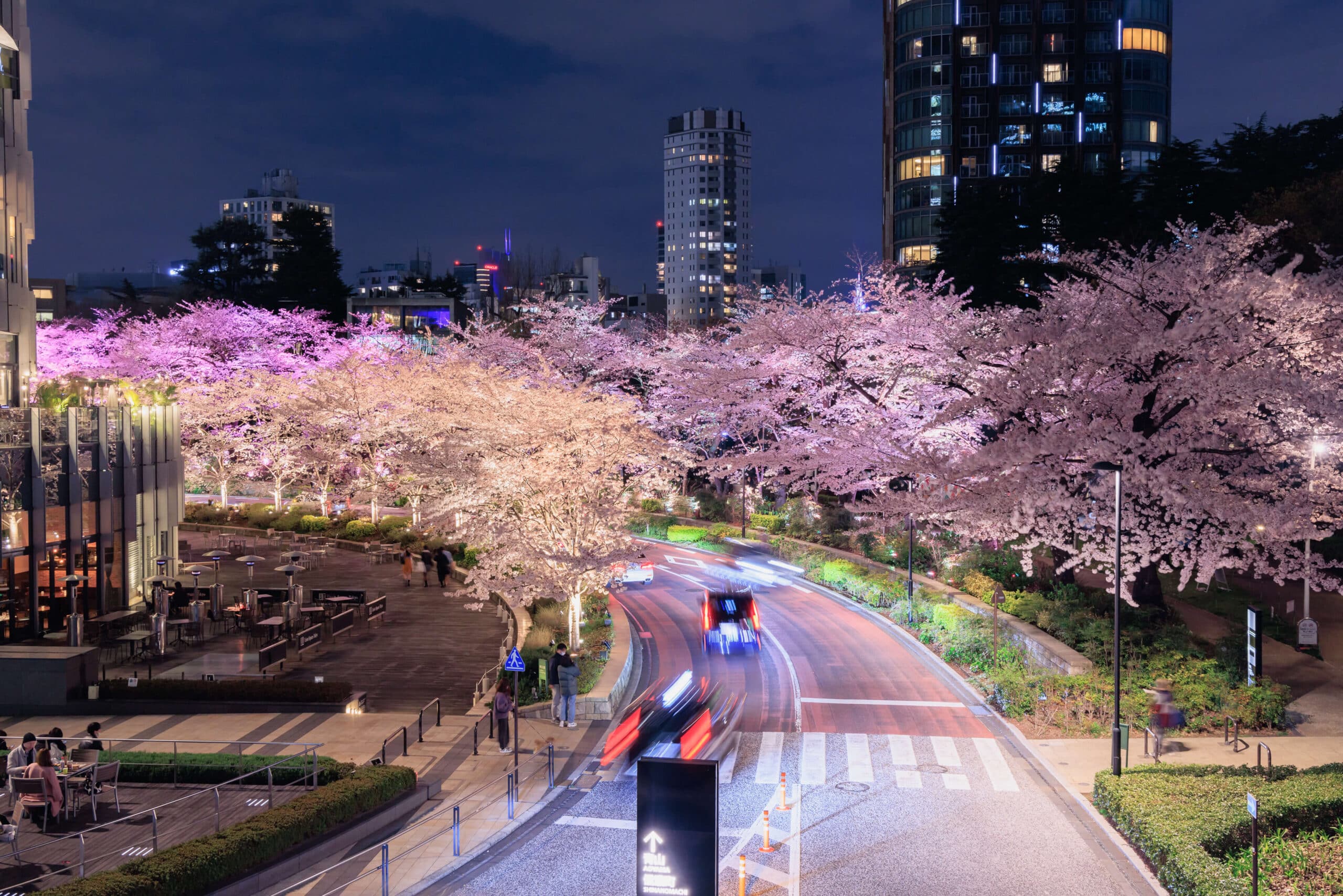 東京ミッドタウンの桜ライトアップ