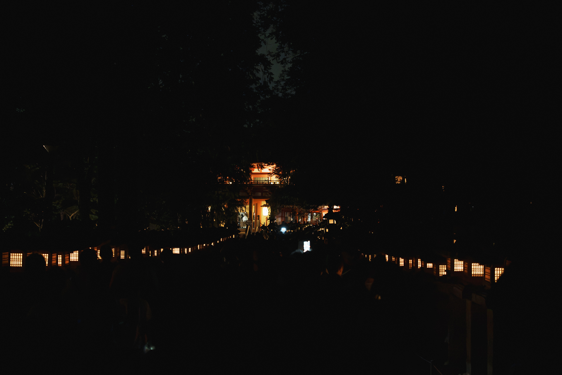 灯りが並ぶ夜の春日大社の参道