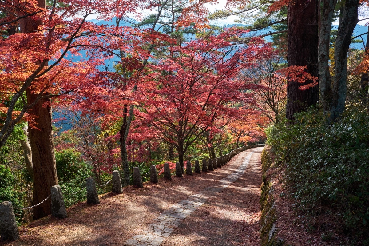 奈良県吉野山の高城山展望台