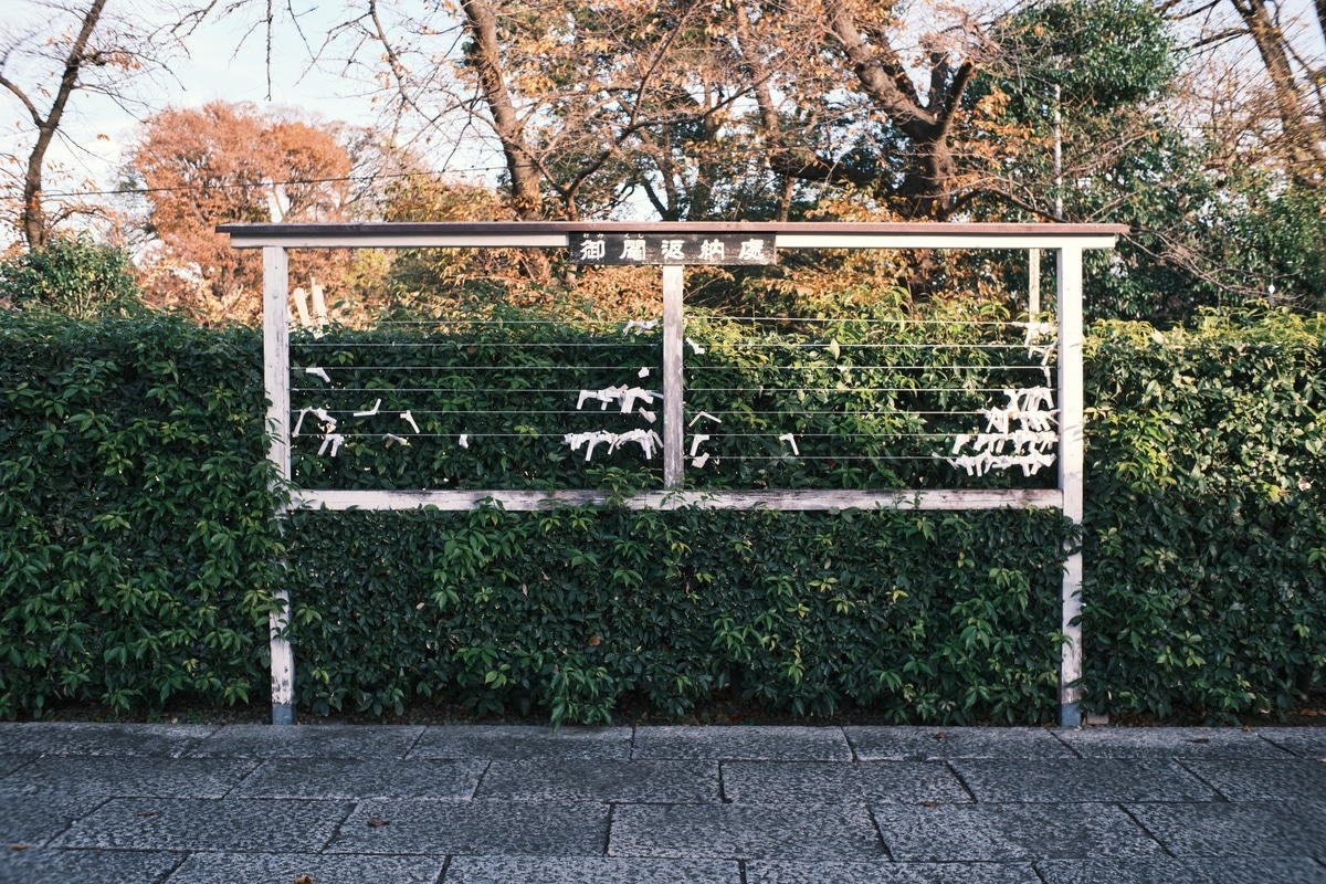 同じ写真のRAW現像後。黒い部分を少し持ち上げています。