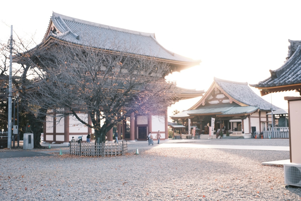 最初の設定で撮影。日中には明るすぎるようでした。