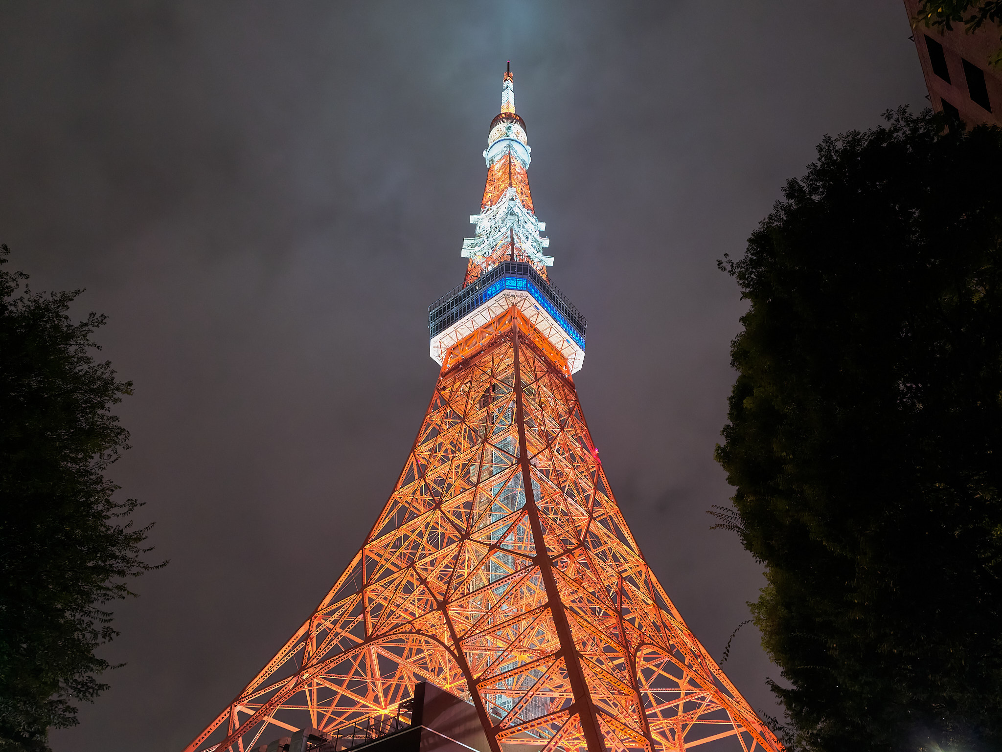 東京タワーを見上げる
